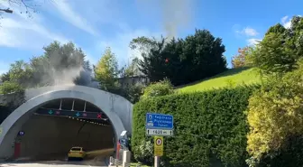 Kağıthane'de Ağaçlık Alanda Yangın Çıktı