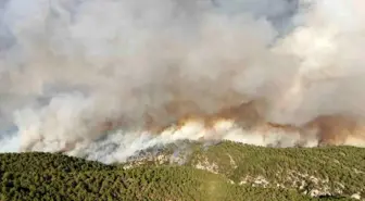Kastamonu-Karabük Sınırında Orman Yangını: 2 Bin 736 Hektar Zarar Gördü