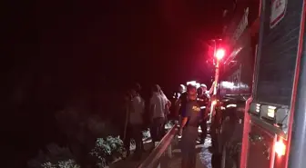 Aydın'da Zeytinlikte Yangın Çıktı