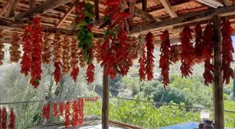 Muğla'da Kış Hazırlıkları: Kadınlar Biberleri Kurutuyor