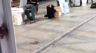 Baba, Kızı ile Tartışma Sonucu Tüfekle Yaraladı