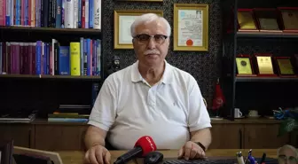 Kedi Tüyü ve Alerjik Zatürre İlişkisi