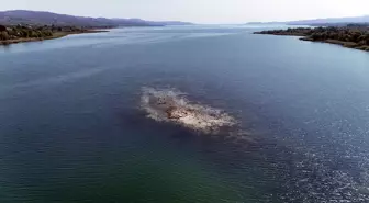 Sapanca Gölü'nde Su Kullanımına Dikkat: Fabrikalar 4 Milyon Metreküp Su Kullanıyor