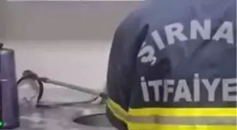 Şırnak'ta Yılan Panic Yarattı