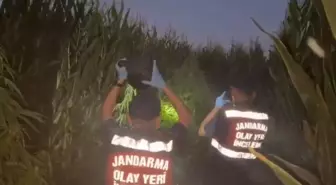 Tokat'ta Uyuşturucu Operasyonlarında 5 Tutuklama