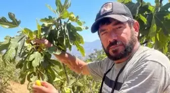 Türkiye'de bu ameliyat ilk kez yapıldı! 44 yaşında yeniden hayata tutundu