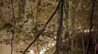 Düzce'de Orman Yangını Kontrol Altına Alındı