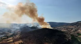Tokat'ta Ağaçlık Alanda Yangın Çıktı