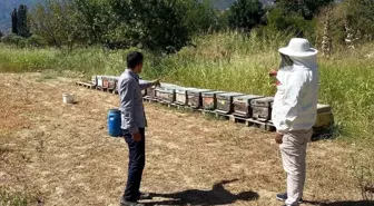 Buharkent'te Arıcılık Faaliyetlerine Destek İçin Kovan Tespitleri Yapıldı