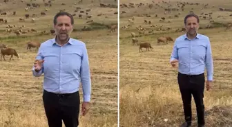Arkasına hayvan sürüsünü alan vekil, Bakan Yumaklı'ya seslendi: Bu zararı karşılayın