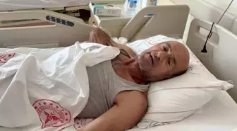 Sakarya'da Ayı Saldırısına Uğrayan Vatandaş Yaralandı
