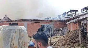 Bilecik'te Samanlıkta Yangın: Yaralanan Yok