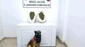 Bingöl'de Jandarma Operasyonu: 9 Kilo Esrar Ele Geçirildi