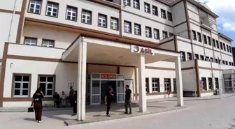 Bolu'da Ayı Saldırısı: Doğa Koruma Müdürlüğü Avlanma Kararı Aldı