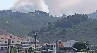 Bursa'da Gündoğdu Tepesi'nde Orman Yangını