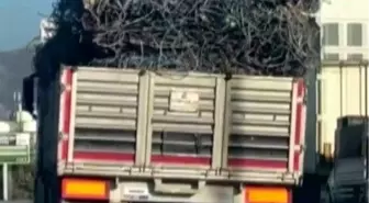 Hatay'da Aşırı Yüklü Tır'ın Tehlikeli Yolculuğu Kamerada