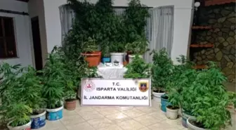 Isparta'da Uyuşturucu Operasyonları: 5 Operasyonda 23 Şüpheli