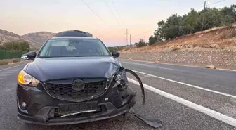Adıyaman'da Küçükbaş Hayvan Sürüsüne Çarpan Otomobil 4 Hayvanı Telef Etti