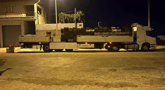 Aydın'da Bamya Sezonu Canlanıyor: Genç Girişimci Ekonomiye Katkıda Bulunuyor