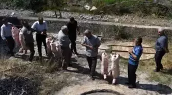 Kastamonu'da 'kuyu kebabı' geleneği asırlardır yaşatılıyor