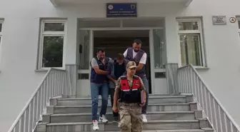 Fındık Hırsızlığı Zanlısı Tutuklandı