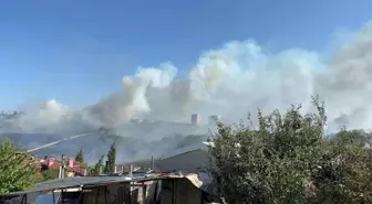 Tekirdağ'da Otluk Alanda Yangın: Fabrikalar ve Villa Tehdit Altında