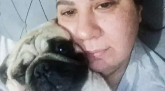 Yurt Dışına Çıkan Kadının Köpeği Pet Otelde Öldü, Suç Duyurusunda Bulundu