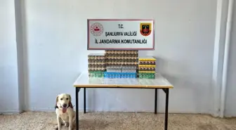 Şanlıurfa'da Kaçakçılık Operasyonu: Binlerce Paket Sigara ve Cep Telefonu Yedek Parçası Ele Geçirildi
