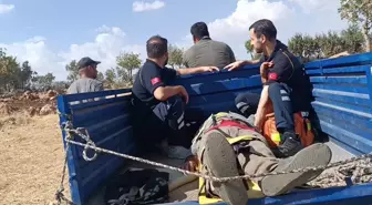 Fıstık Ağacından Düşen Tarım İşçisine Patpatla Müdahale