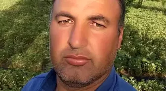 Traktörle Tarlaya Giderken Ağaca Çarparak Hayatını Kaybetti