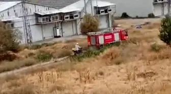 Beypazarı'nda Otluk Alanda Yangın Çıktı