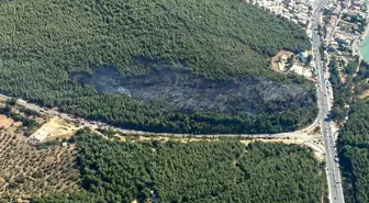 Bodrum'da Orman Yangını Kontrol Altına Alındı