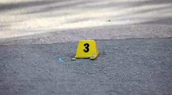 Erciş'te iki kardeşe silahlı saldırı: 1 ölü, 1 yaralı