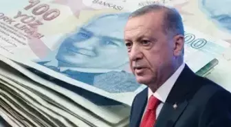 Fiyatlar 36 kat artmıştı! Cumhurbaşkanı Erdoğan talimatı verdi, AK Parti harekete geçti