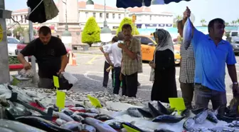 Balıkçılar Hamsi İçin Soğuk Havayı Bekliyor