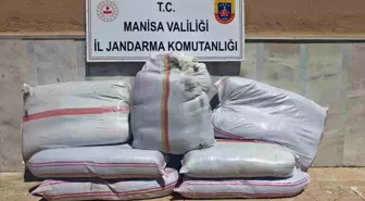 Manisa'da 350 Kilo Kaçak Tütün Ele Geçirildi