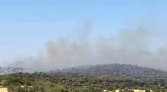 Mardin'de Orman Yangınına Müdahale Devam Ediyor