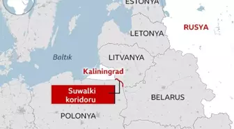 NATO'nun doğu sınırındaki 'yumuşak karnı' Suwalki Koridoru