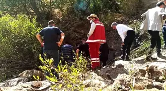Van'da 334 Koyun Kayalıklardan Düşerek Telef Oldu