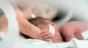 Yenidoğan Çetesi davasında 3 tutuklu sanığa tahliye