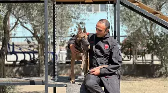 İznik'te Arama Köpekleri Afetlere Hazır Hale Geldi