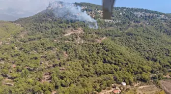 Kemer'de Orman Yangını: Havadan ve Karadan Müdahale Başladı