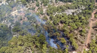 Antalya'da orman yangını (2)
