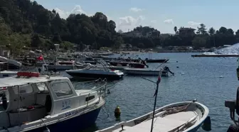 Karadeniz'de Hamsi Umutları Artıyor