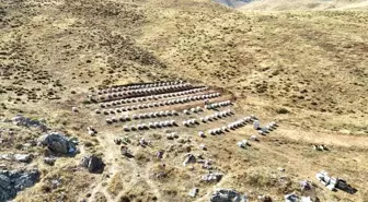 Kahramanmaraş'ta Kaliteli Bal Üretimi Devam Ediyor