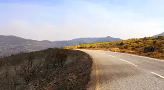 Portekiz, 94 Yılın En Sıcak ve Kurak Yazını Geçirdi