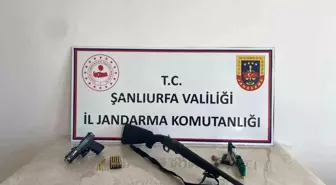 Şanlıurfa'da Geniş Çaplı Silah Operasyonu