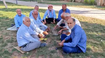 Yaşlılar Parklarda Mangala Oynayarak Zaman Geçiriyor