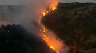 Hakkari Şemdinli'de Orman Yangını Korkuttu