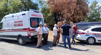 Muğla'da Düğün Yemeğine Giden Ailenin Aracı Şarampole Yuvalandı, 2 Ölüm
